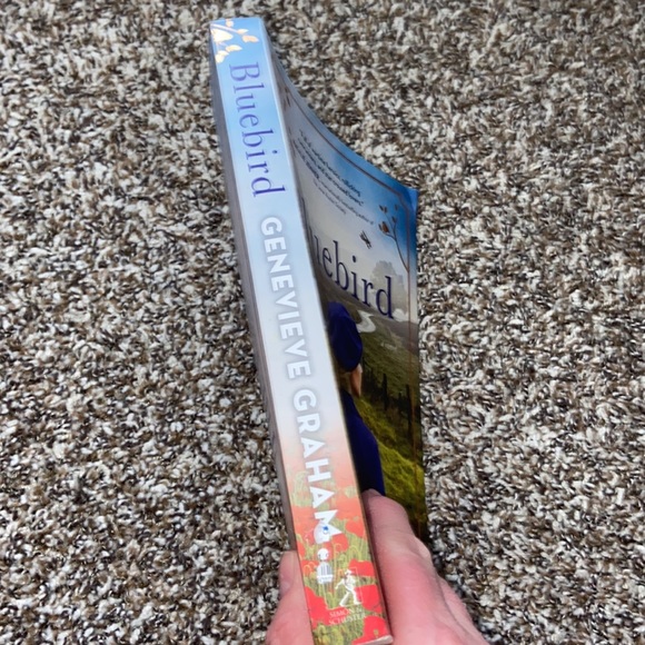 Bluebird Genevieve Graham paperback book - Picture 3 of 4